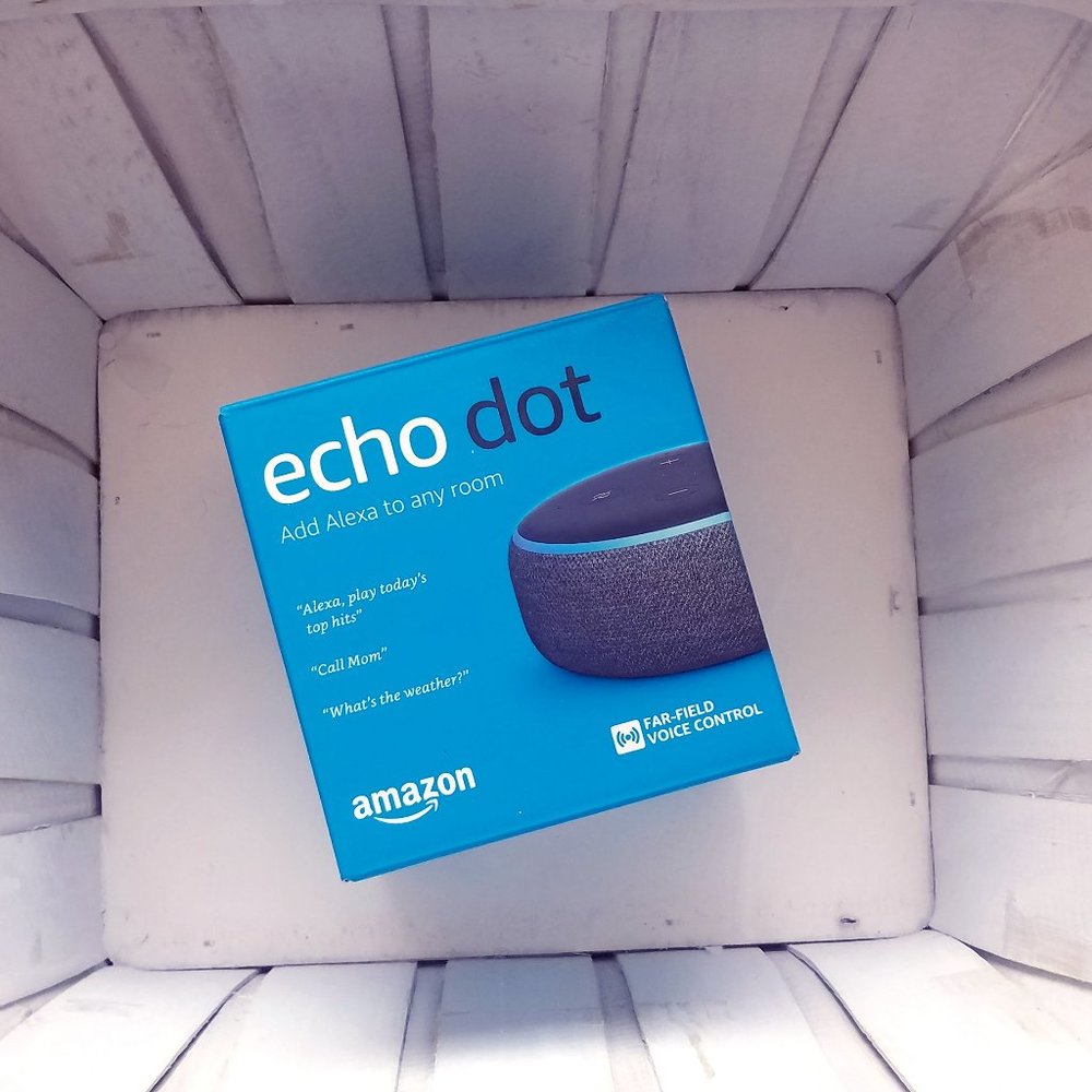 New Echo Dot